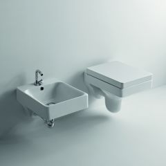 Wall Mount Toilet