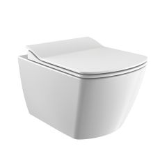 Wall Mount Toilet