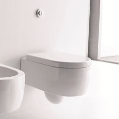 Wall Mount Toilet