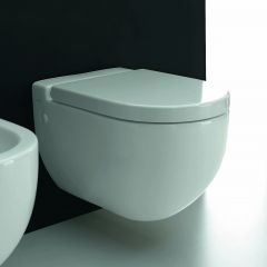 Wall Mount Toilet