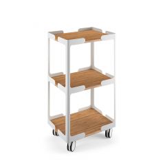 Mobile Storage Unit